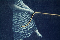 MaddyDetail