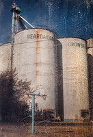Reardan