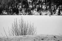 Snow Field