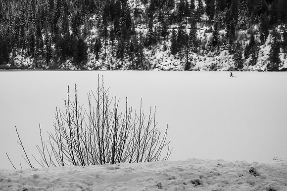 Snow Field