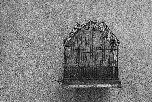 Birdcage