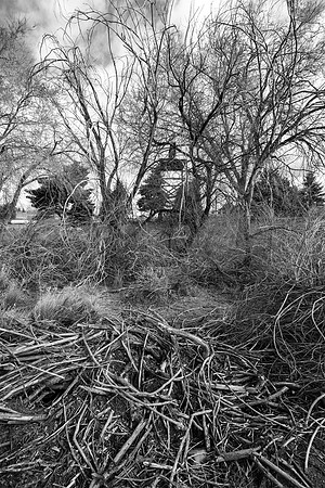 Sticks