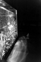 IMG_4259_0786-2
