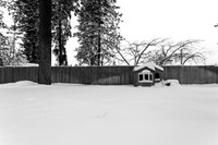 IMG_3485_0141-2