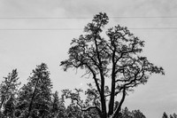 IMG_3581_0089-2