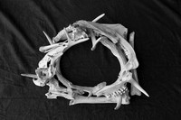 Bone Wreath
