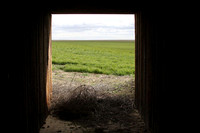 Tunnel