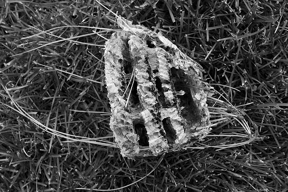 Beehive